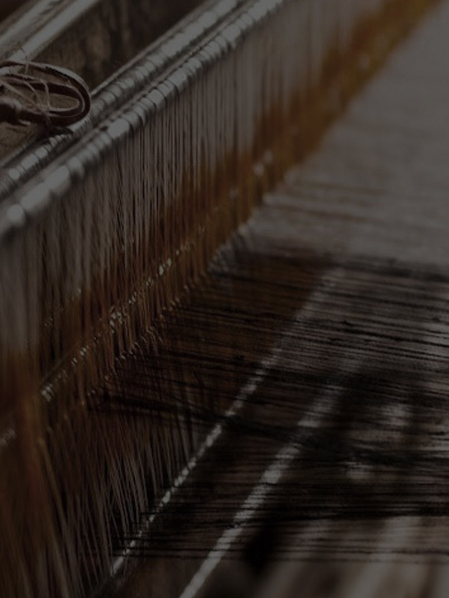 NobleCotton DreamSet