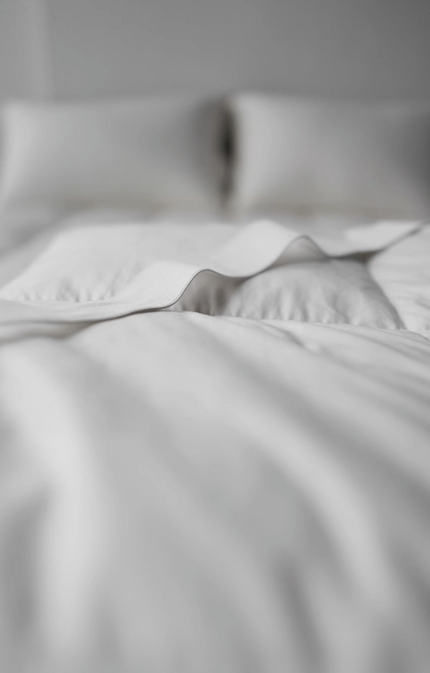 Sunny Elegance Goose Down Mattress Pad