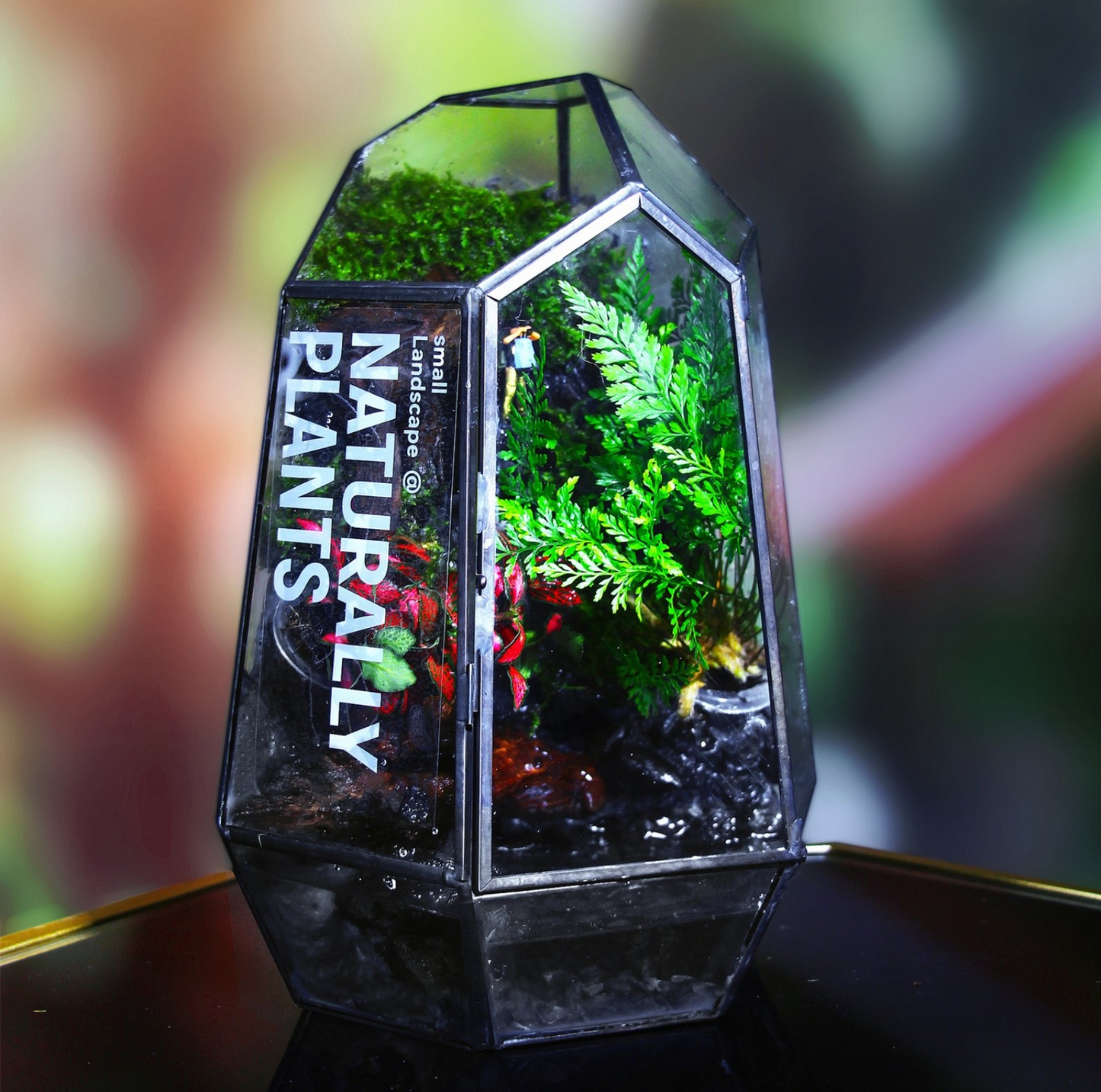 SerenityFlow: Handcrafted Desktop Ecosphere