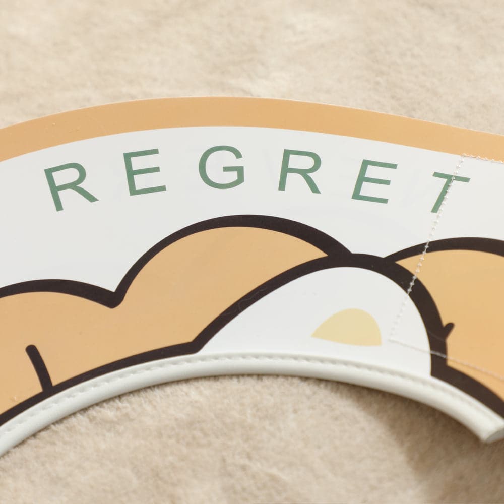 Elizabeth Circle Anti-Lick Scratch Collar Sterilization Collar