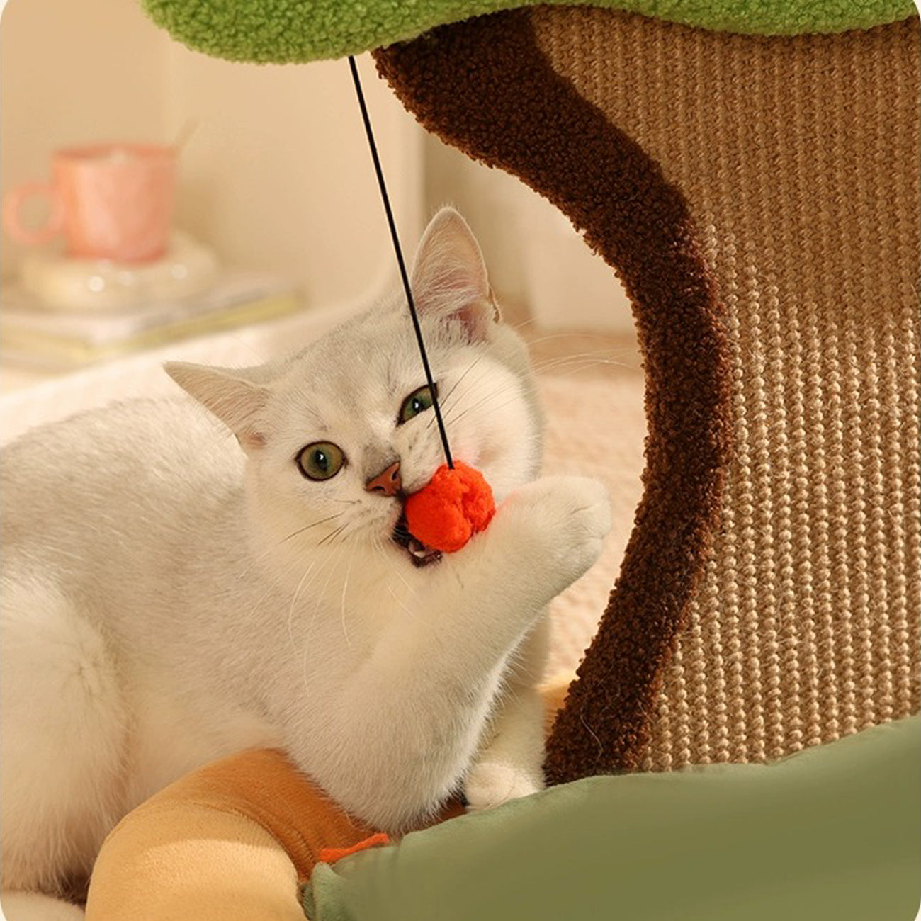 Garden Deluxe Cat Bed Scratchpad Cute Mat