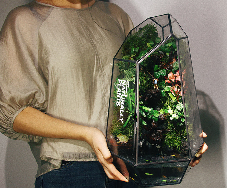 SerenityFlow: Handcrafted Desktop Ecosphere