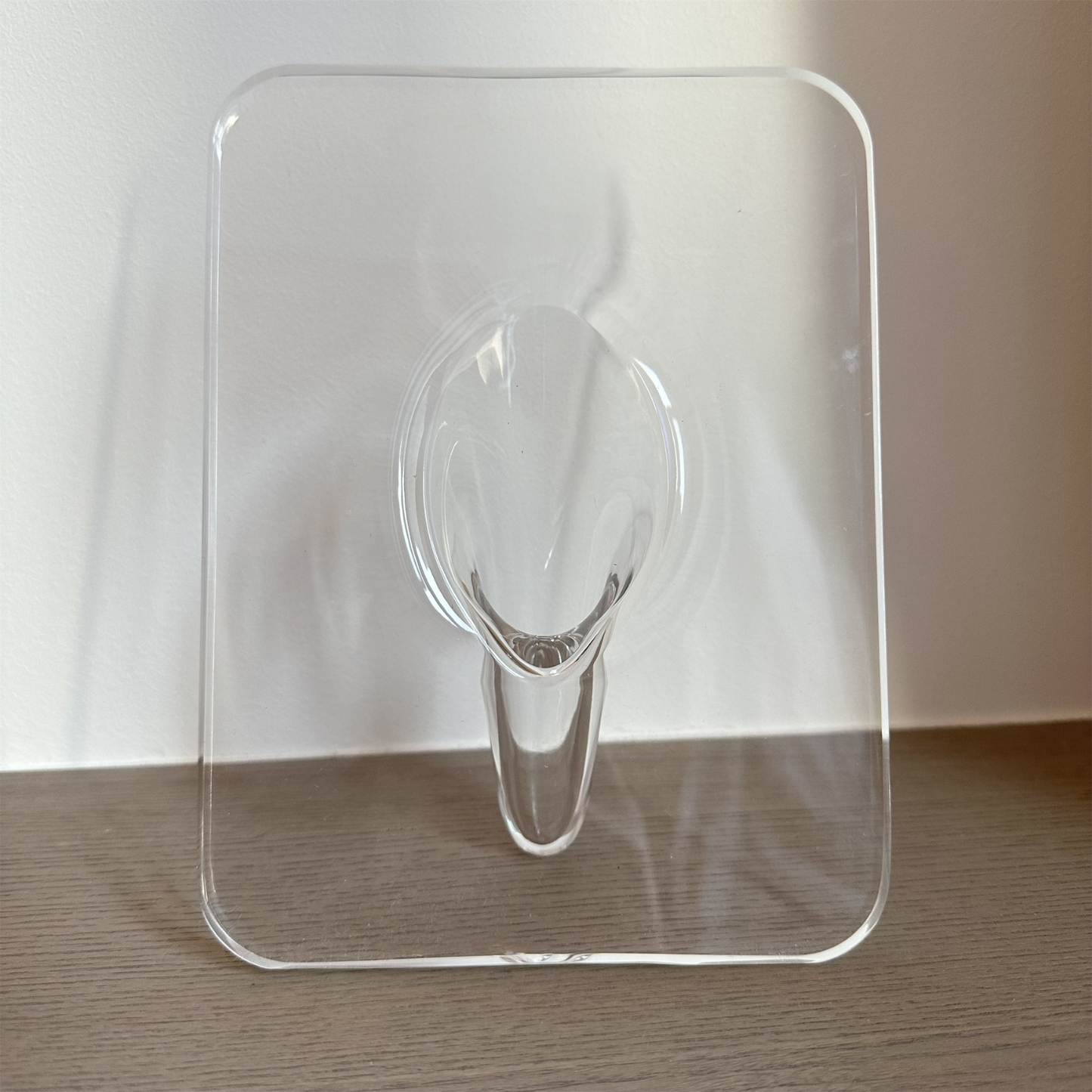 Acrylic Elegance Frame Vase