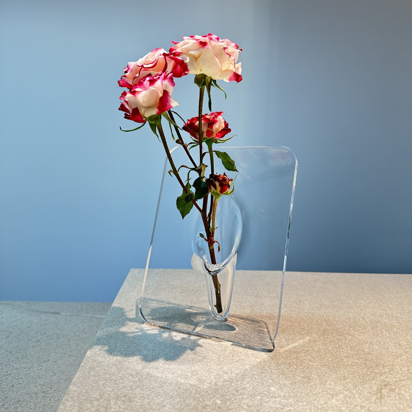 Acrylic Elegance Frame Vase