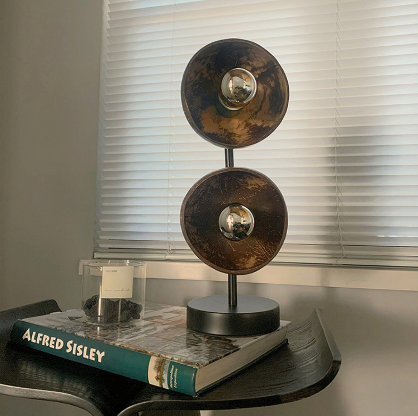 Coconut Shell Bedside Lamp