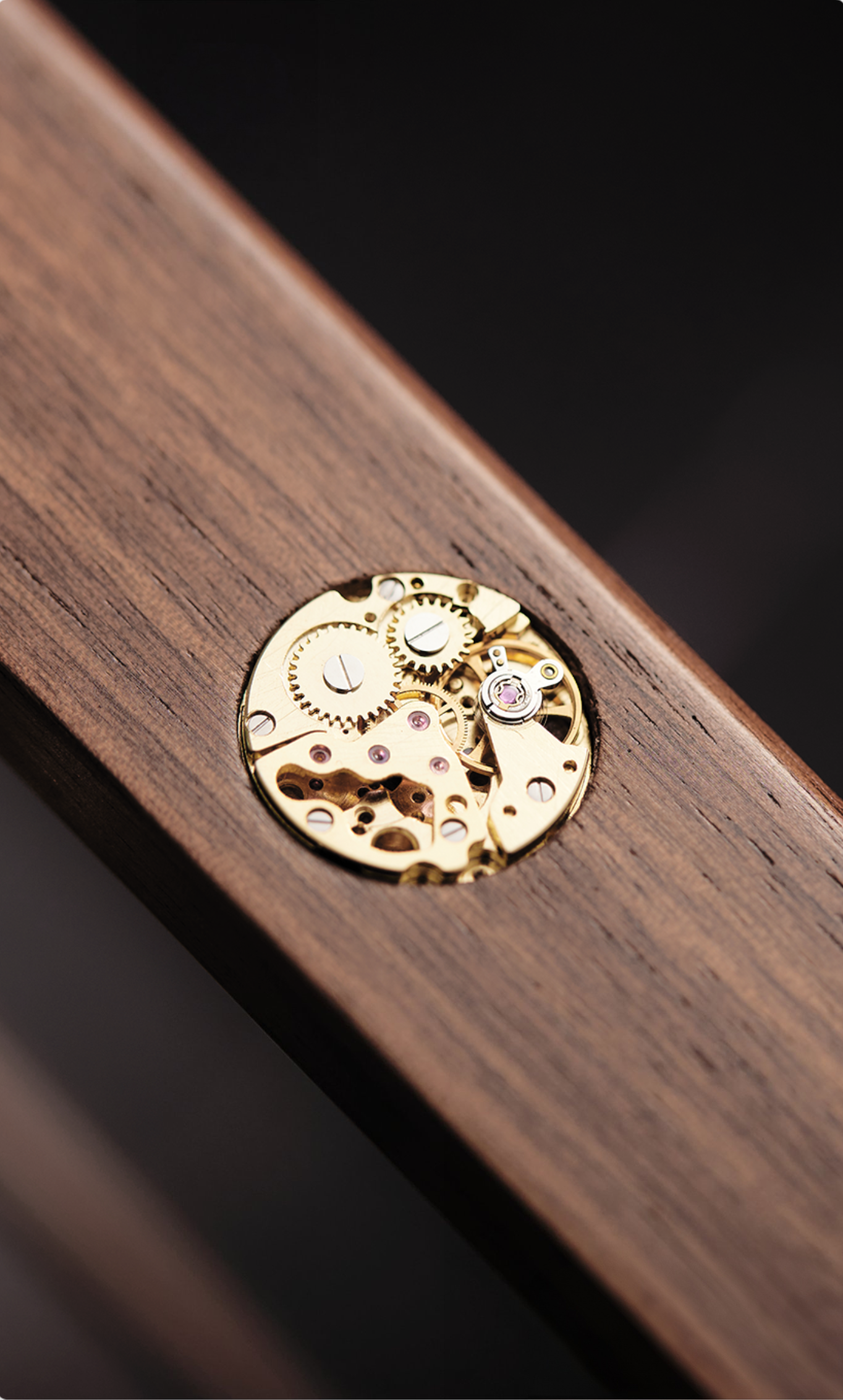 Timeless Walnut Watch Collector's Box