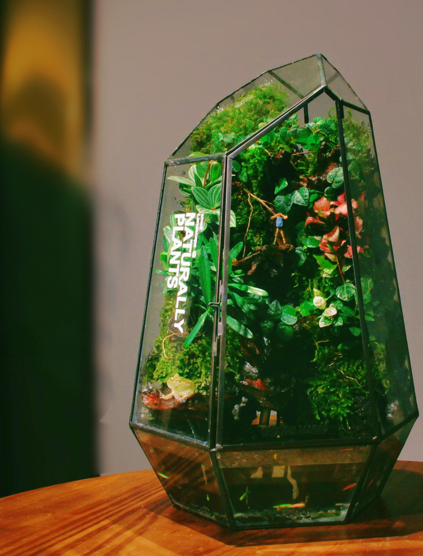 SerenityFlow: Handcrafted Desktop Ecosphere