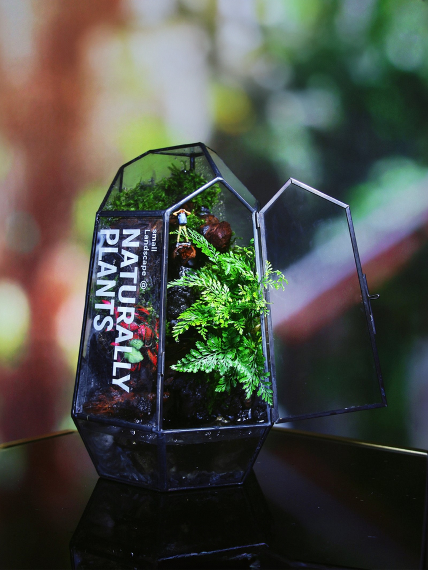 SerenityFlow: Handcrafted Desktop Ecosphere