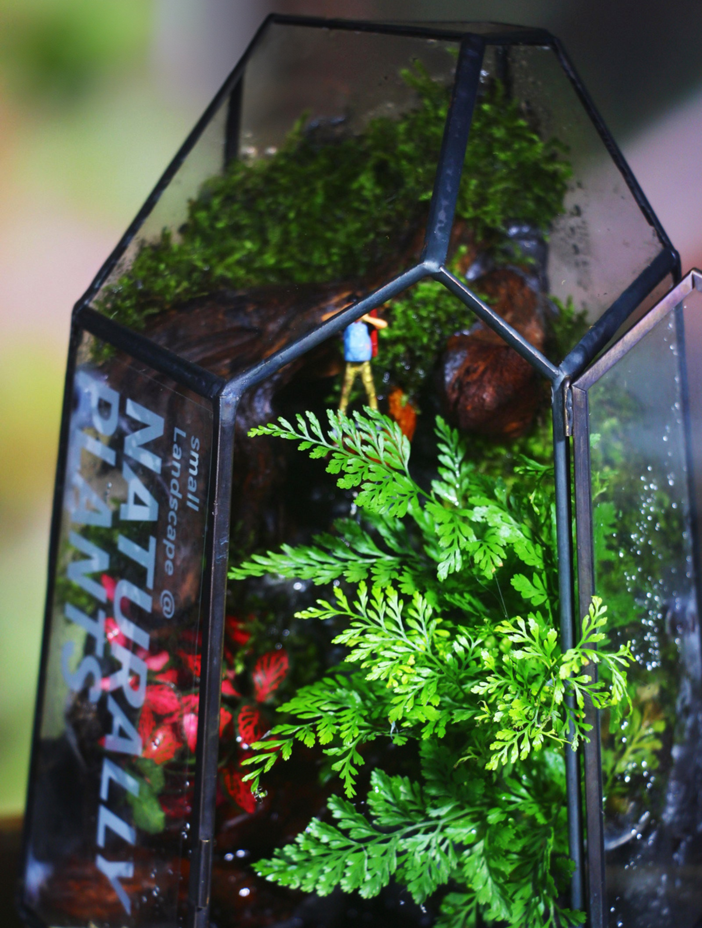 SerenityFlow: Handcrafted Desktop Ecosphere