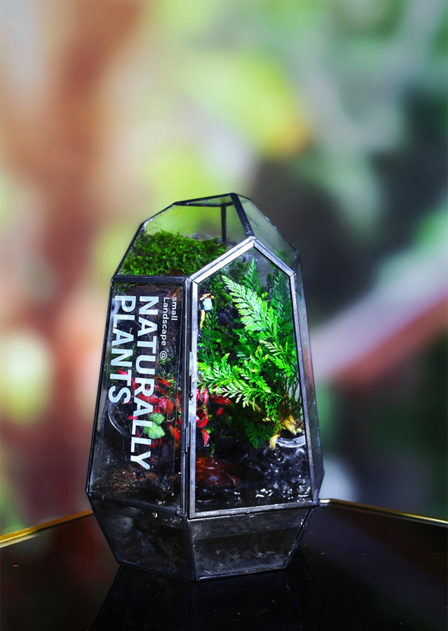 SerenityFlow: Handcrafted Desktop Ecosphere