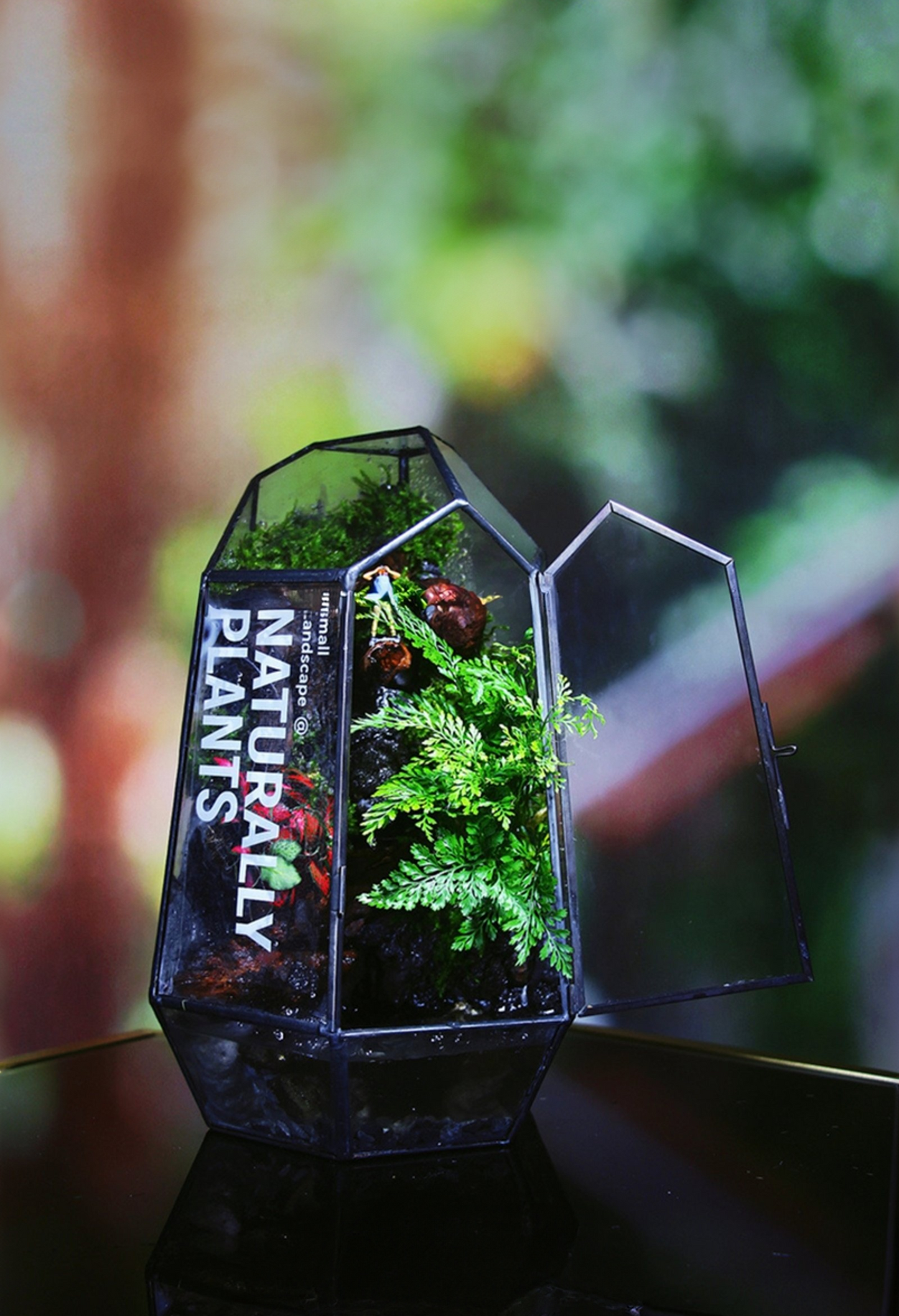 SerenityFlow: Handcrafted Desktop Ecosphere