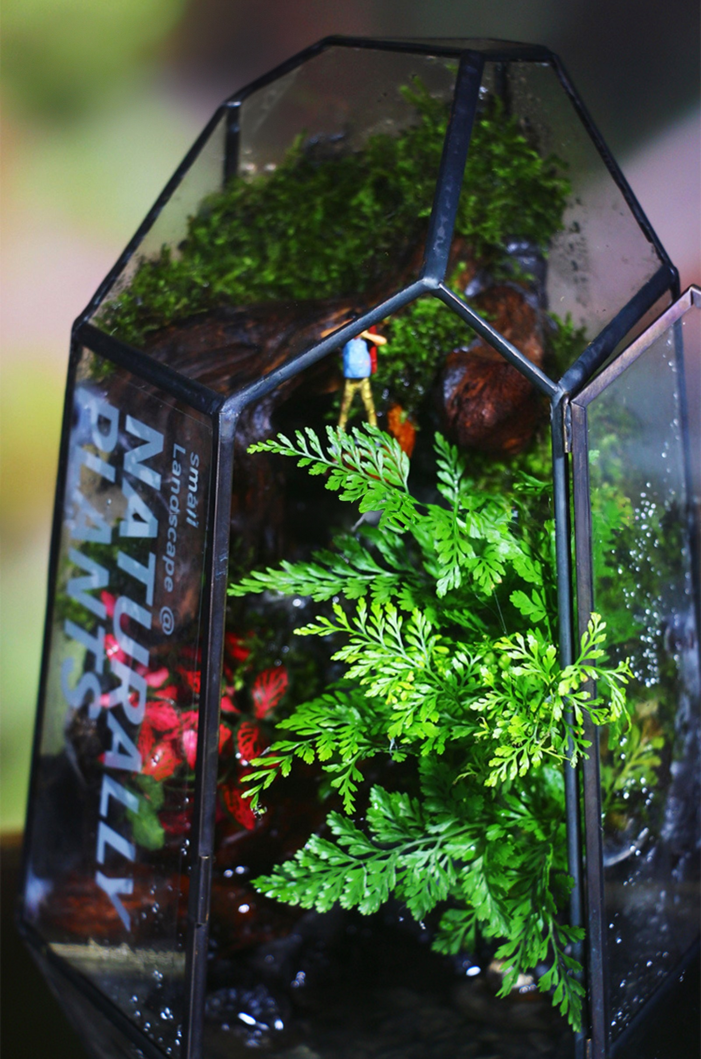 SerenityFlow: Handcrafted Desktop Ecosphere