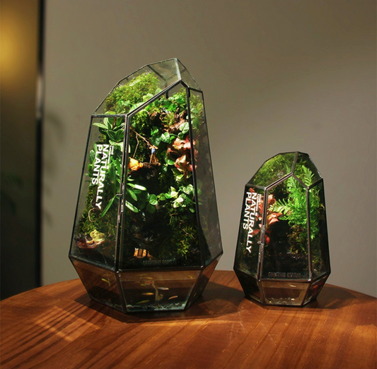 SerenityFlow: Handcrafted Desktop Ecosphere