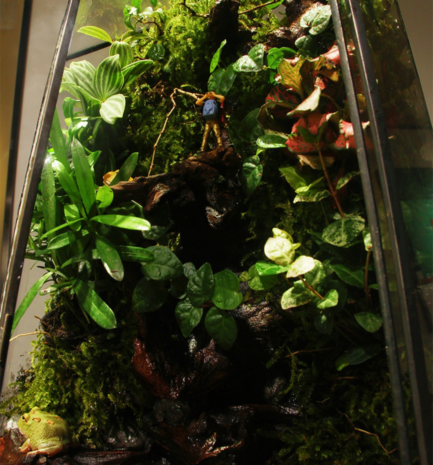 SerenityFlow: Handcrafted Desktop Ecosphere