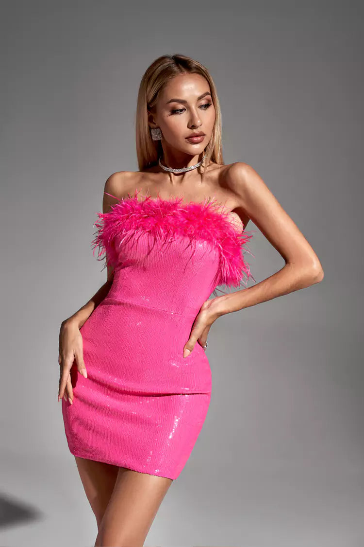 Gemma Pink Feather Mini Dress – FancyAdd
