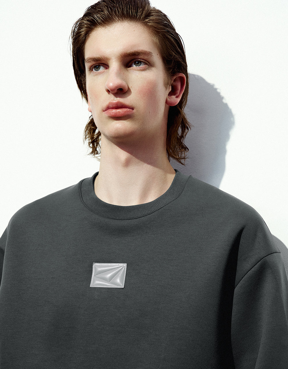 Standard Sleeve Crew Neck Sweatshirt