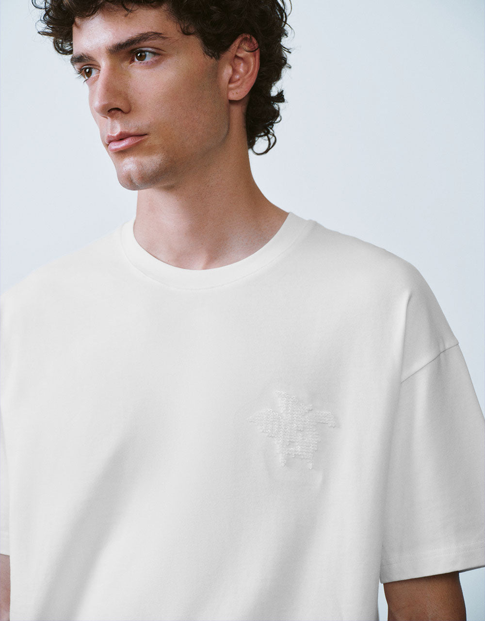 Crew Neck Loose A-Line T-Shirt