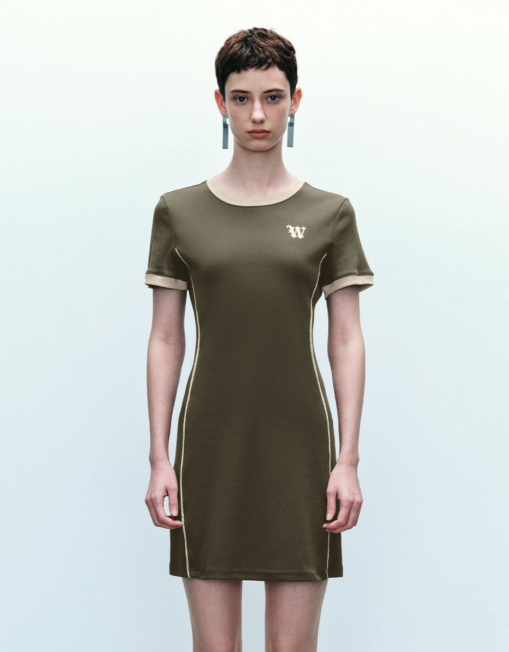 Crew Neck Skinny Dress