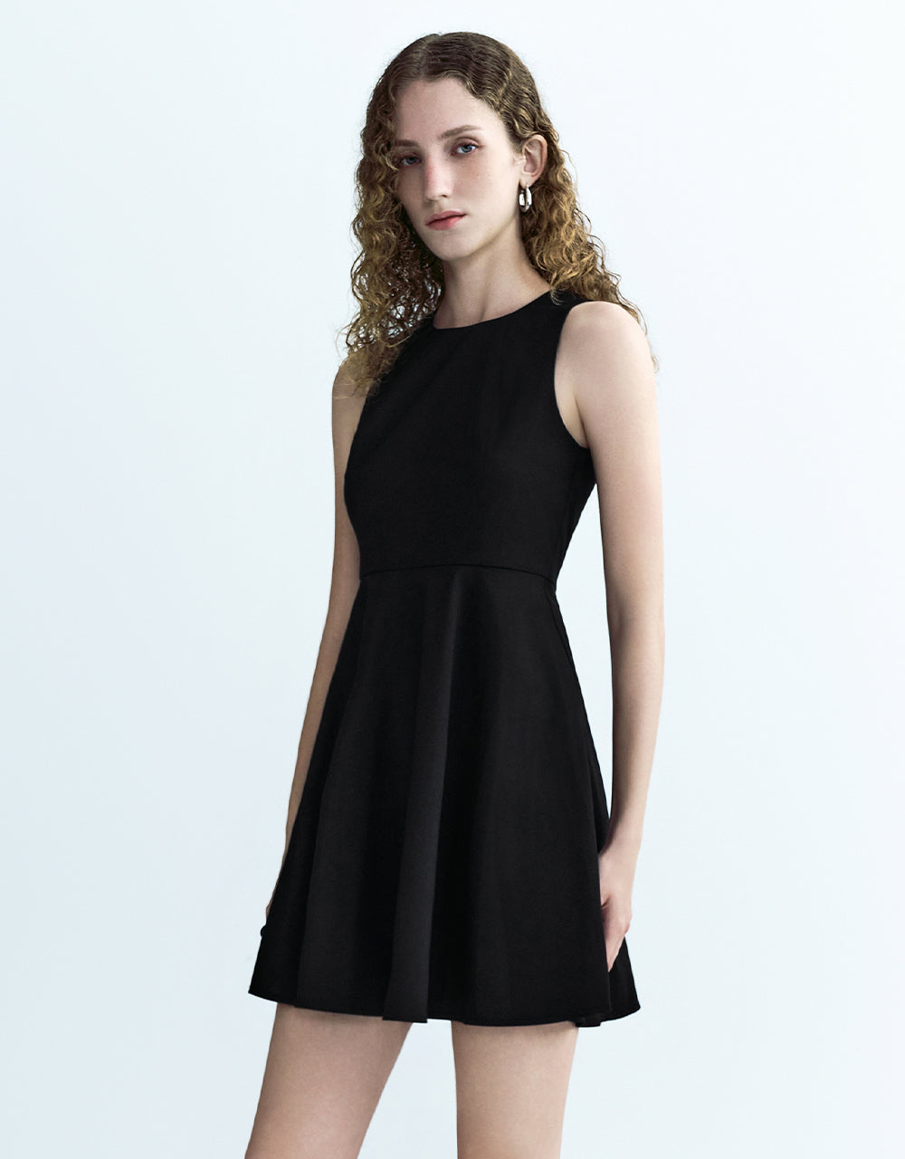 Sleeveless Crew Neck A-Line Dress