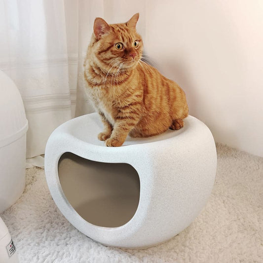 Rascal Plastic Pet Nest Stool Nest Small Cattery