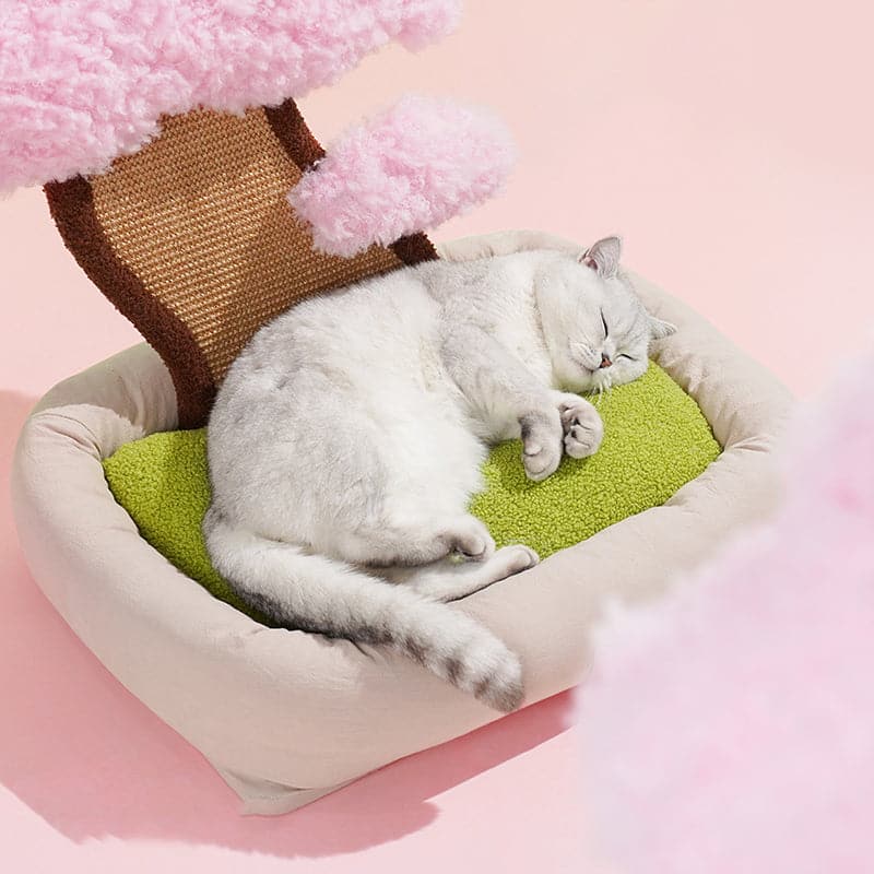 Sakura /Pine Tree Cat Bed and Cat Scratching Pads