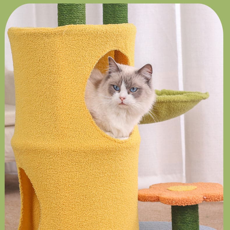 Rainbow Cat Litter Sisal Scratching Post Integrated Cat Tree